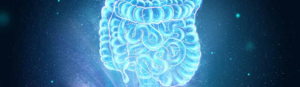 Prostate Cancer Image