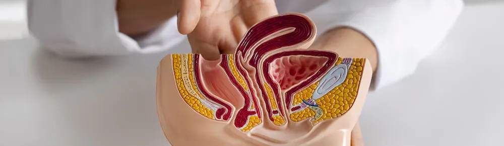 Testicular Cancer Overview