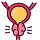 Prostate Cancer